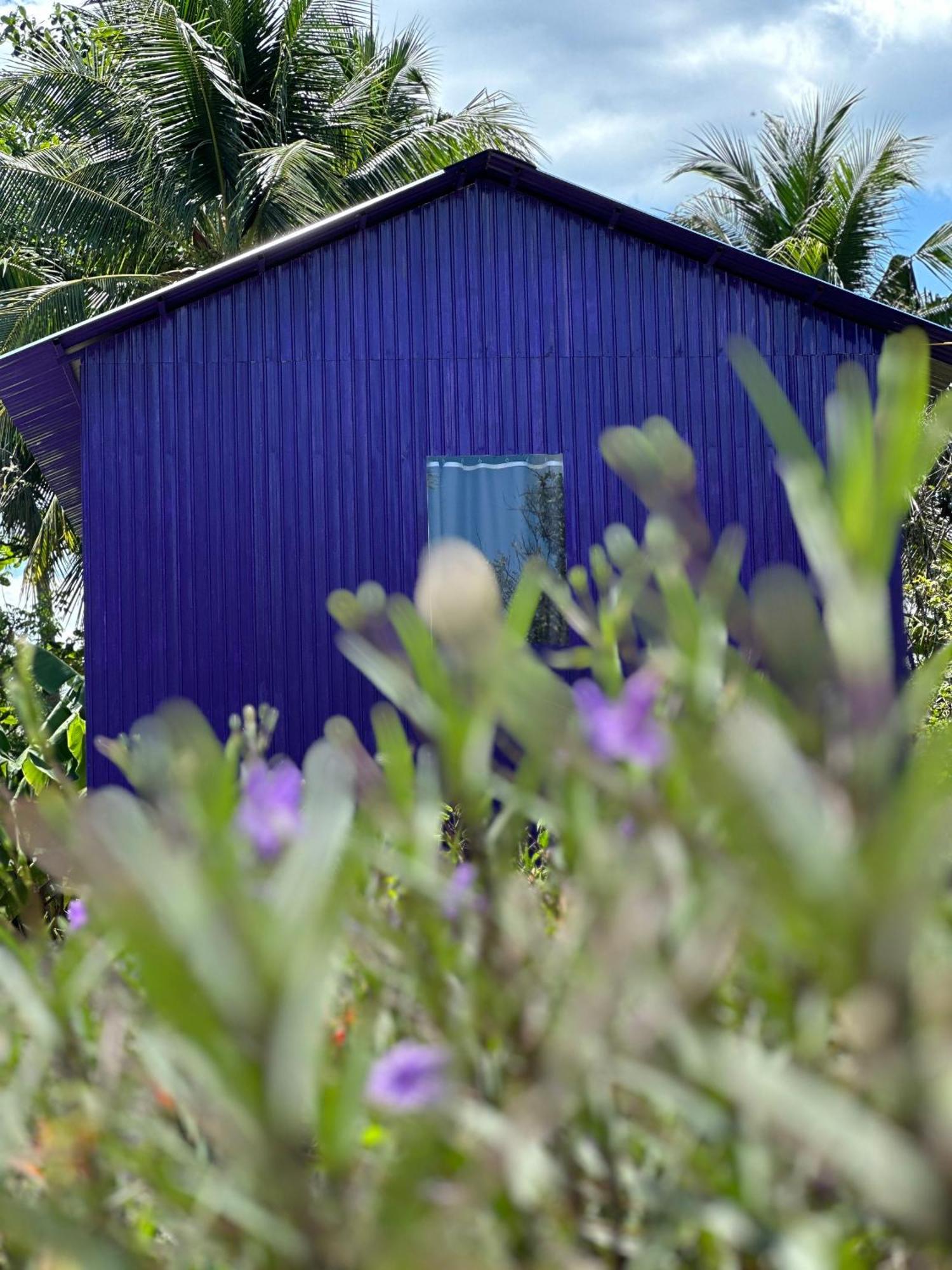 Hide Away Bungalows In Ben Tre City Zewnętrze zdjęcie