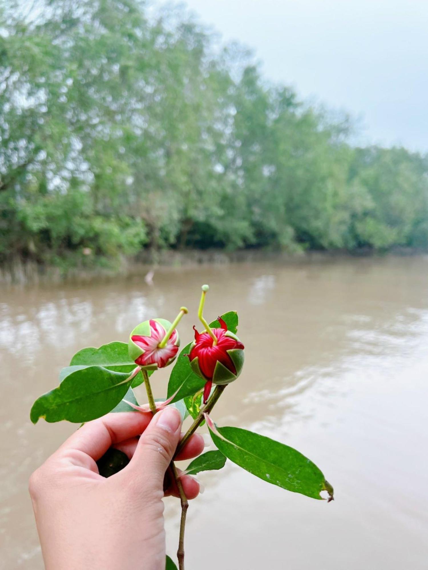 Hide Away Bungalows In Ben Tre City Zewnętrze zdjęcie