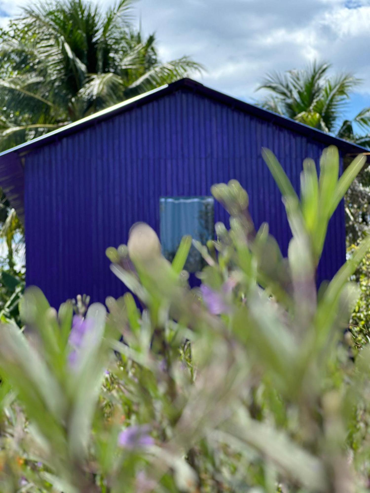 Hide Away Bungalows In Ben Tre City Zewnętrze zdjęcie