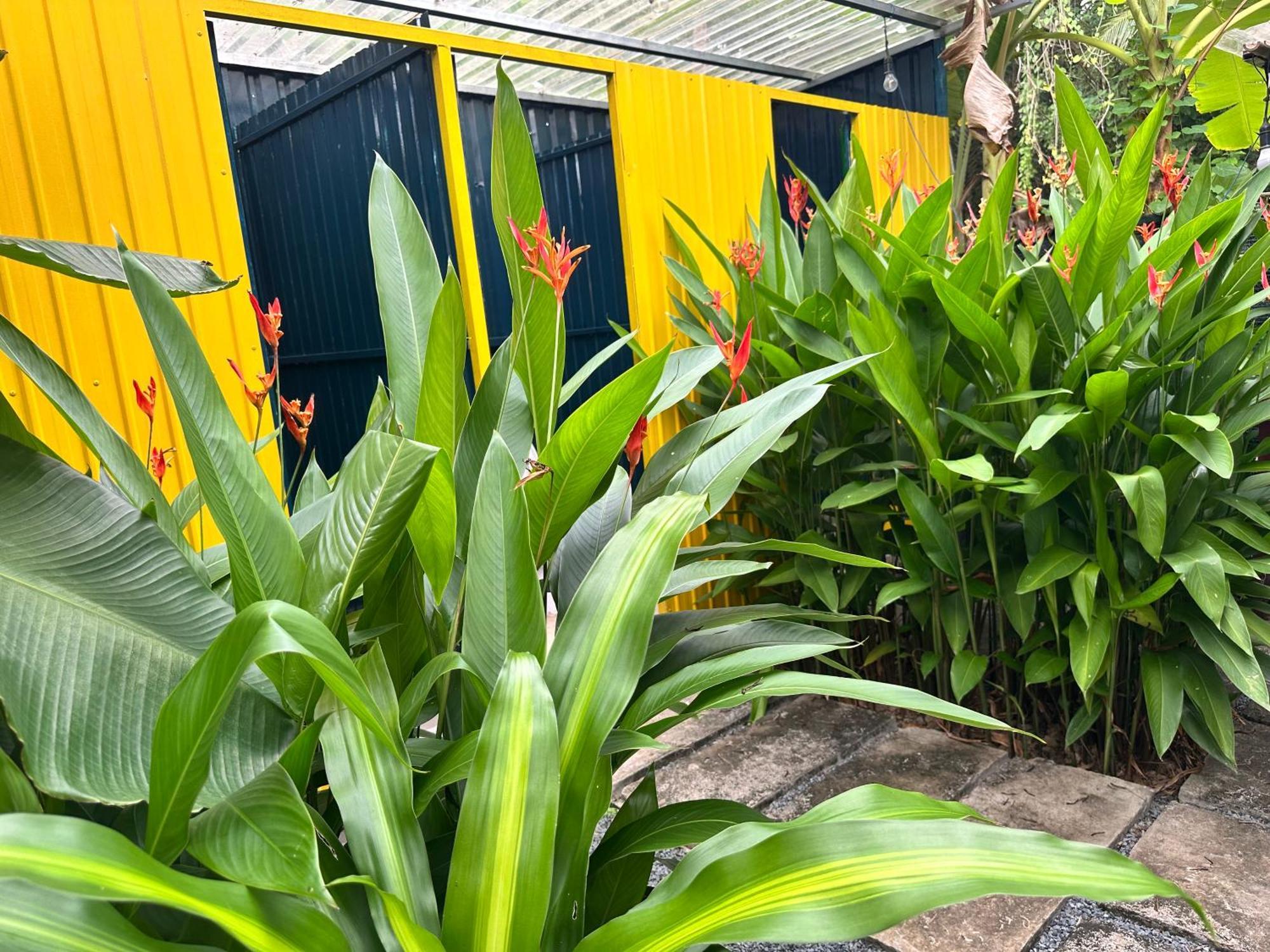Hide Away Bungalows In Ben Tre City Zewnętrze zdjęcie