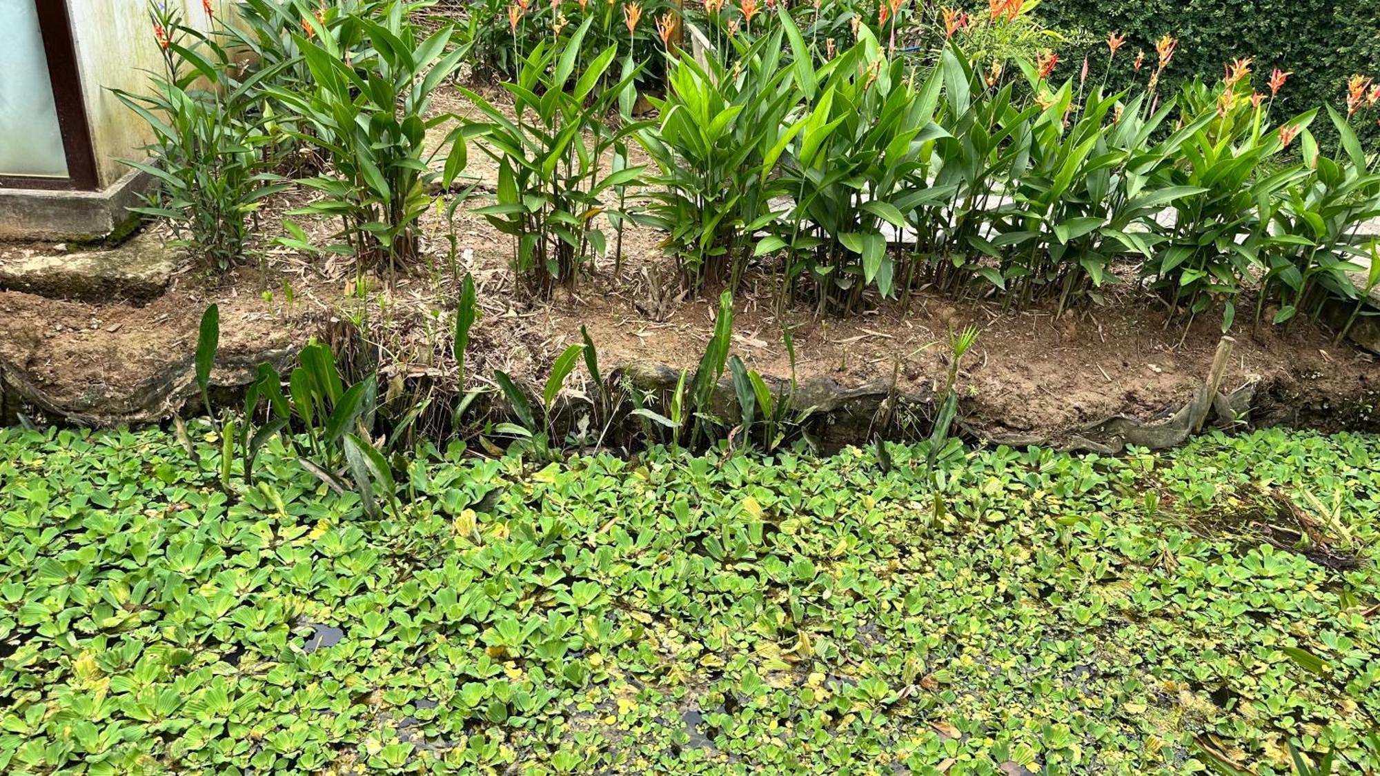 Hide Away Bungalows In Ben Tre City Zewnętrze zdjęcie